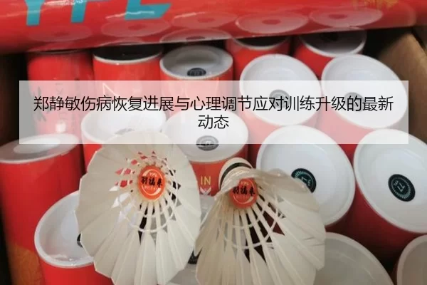郑静敏伤病恢复进展与心理调节应对训练升级的最新动态